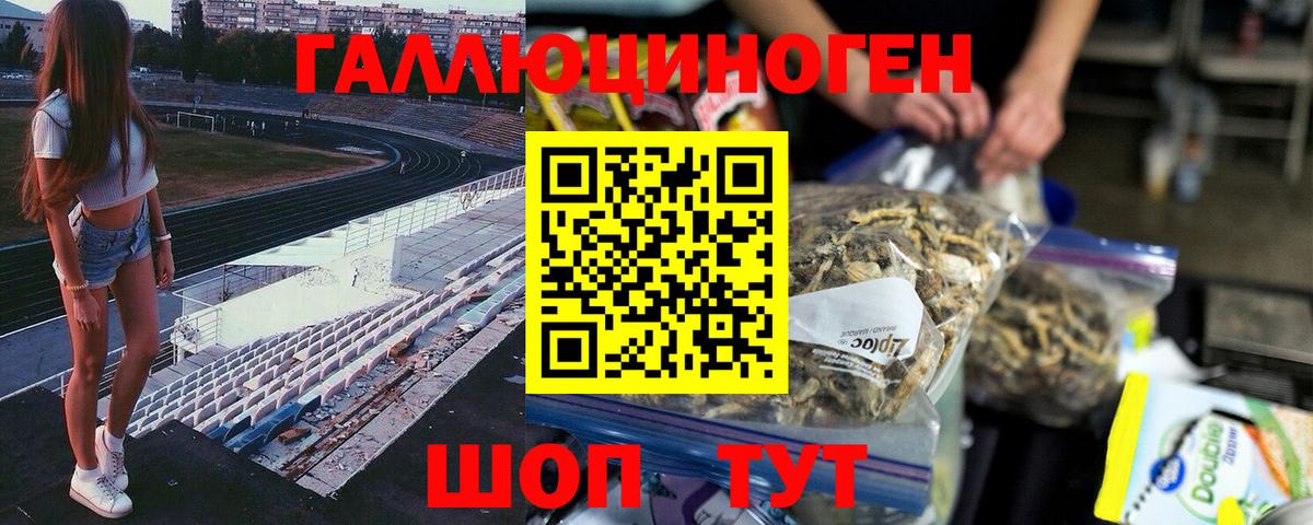 Псилоцибиновые грибы мицелий Канаш
